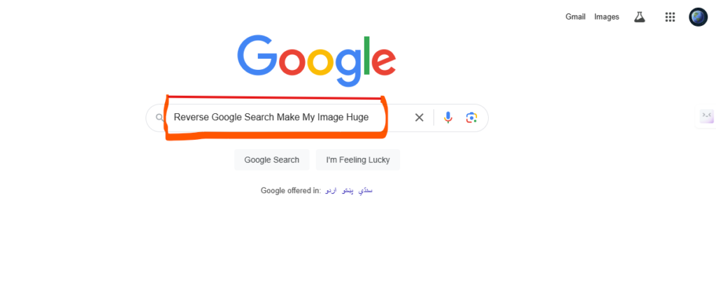 Reverse Google Image Search